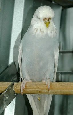 DSC_3422.jpg