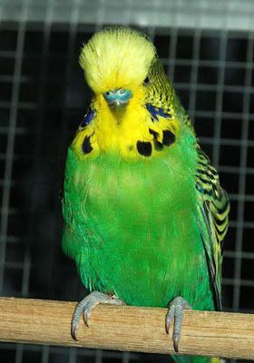 DSC_3448.jpg