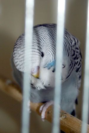 b3.jpg