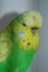 cbb4f16f.jpg