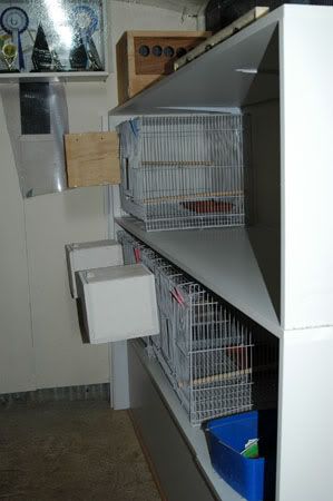 shelving011.jpg