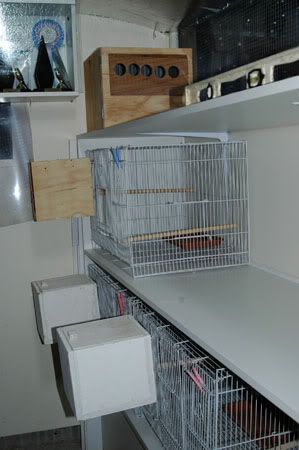 shelving012.jpg