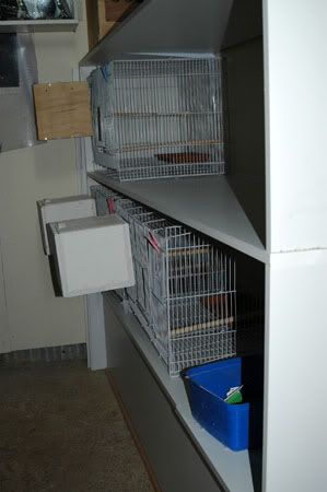 shelving013.jpg