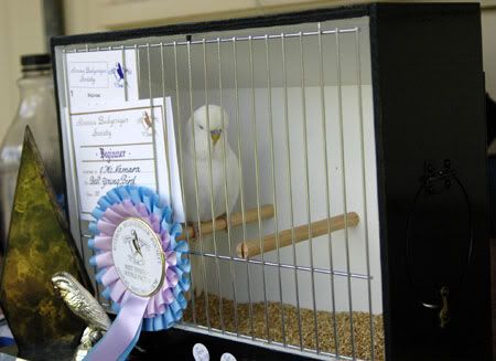 newbirds047.jpg