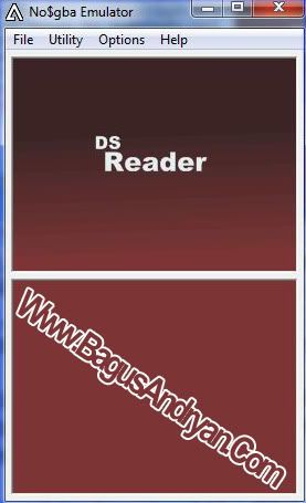 Ds Reader