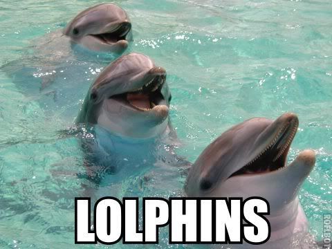 lolphins.jpg