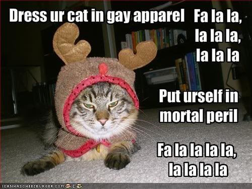 dress your cat photo: Dress your cat untitled.jpg