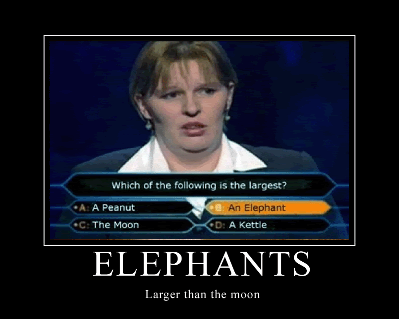 Elephants photo Elephants.gif