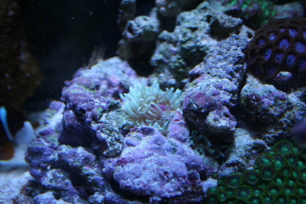 IMG_1956.jpg