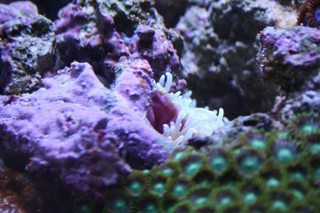 IMG_1984.jpg