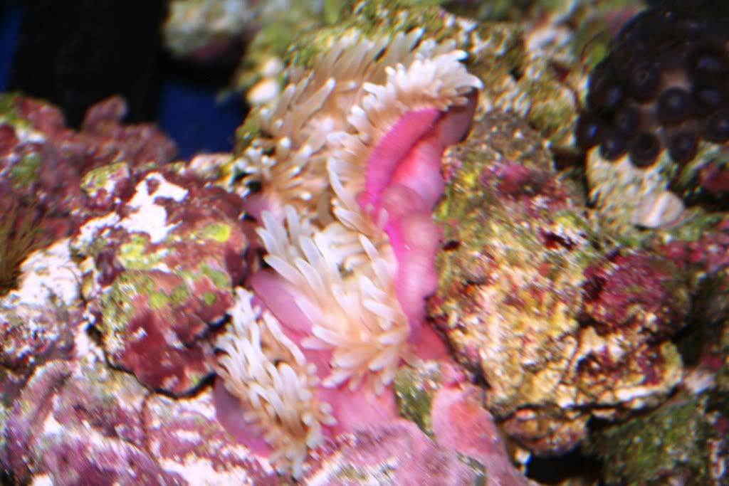 IMG_1997.jpg