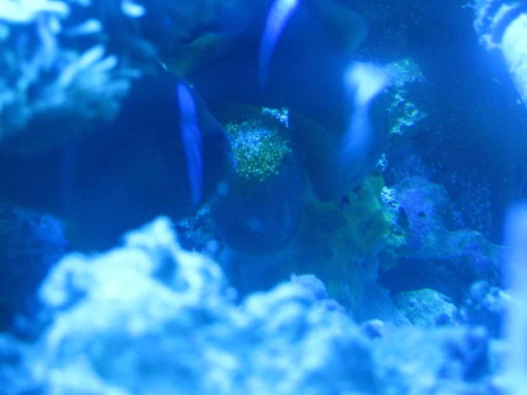 IMG_2200.jpg