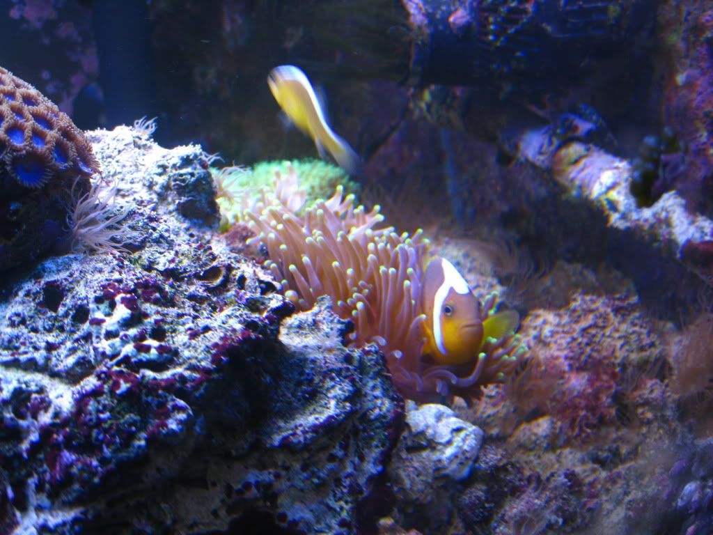 IMG_2565.jpg