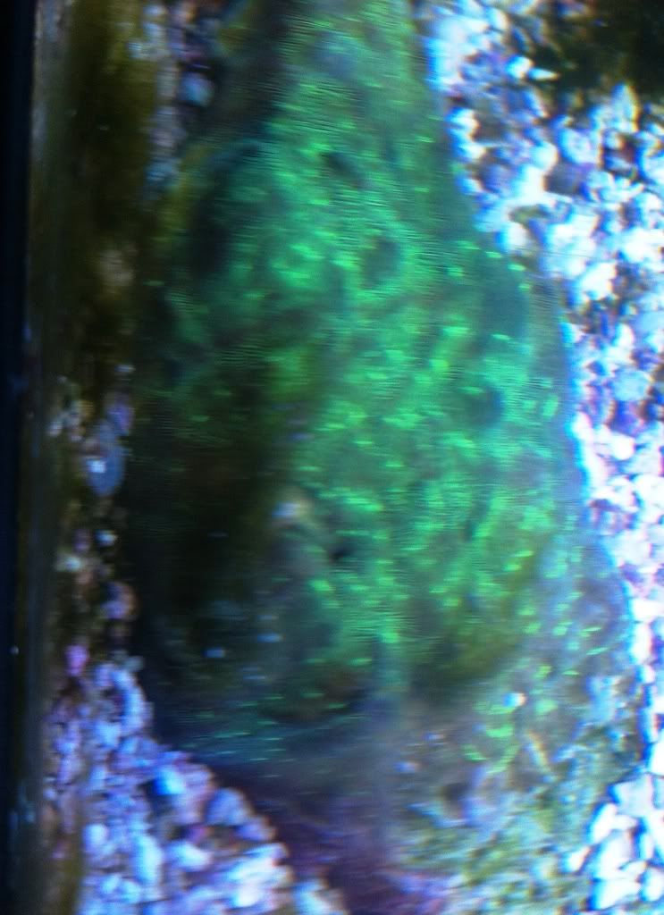 photo.jpg