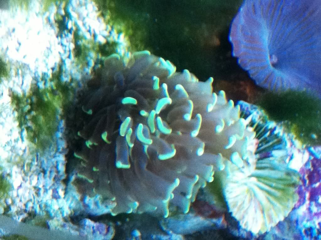 photo5.jpg