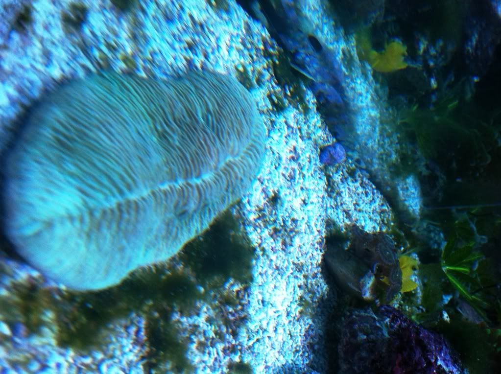 photo6.jpg