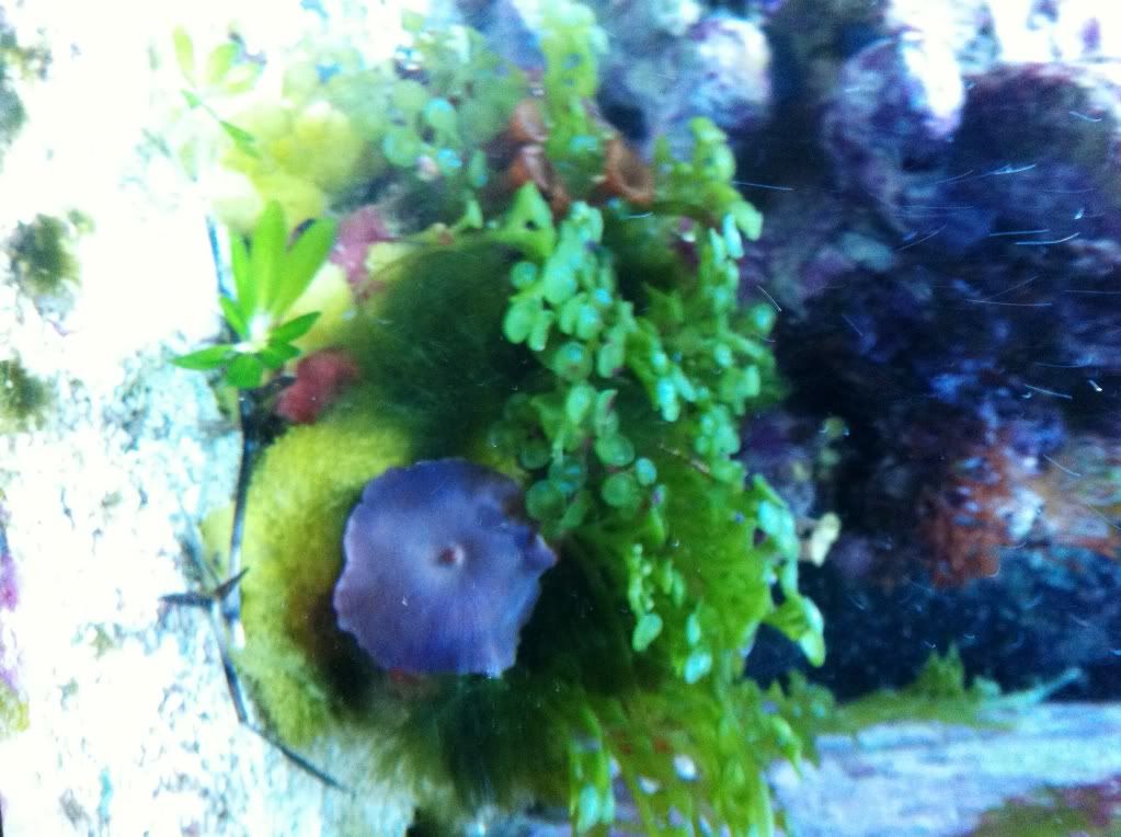 photo9.jpg