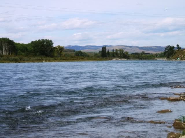 Southern Alberta - Homesteading Questions