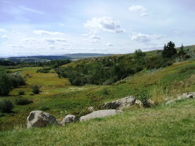 Southern Alberta - Homesteading Questions