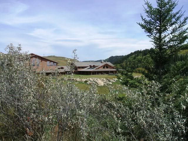 Southern Alberta - Homesteading Questions