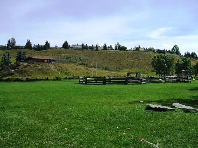 Southern Alberta - Homesteading Questions
