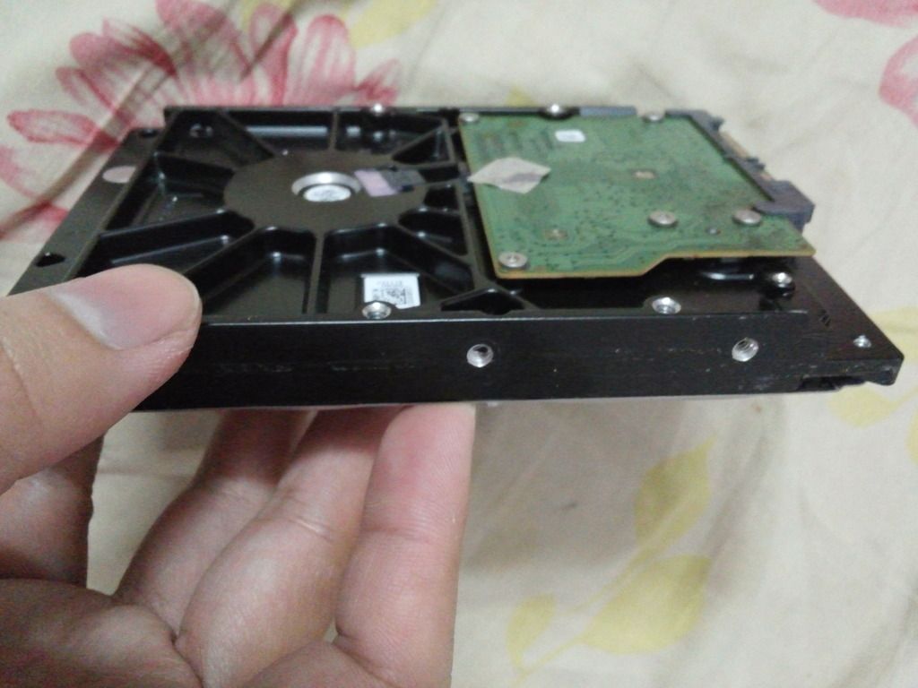 HDD SEAGATE 500GB mới keng giá bèo - 1