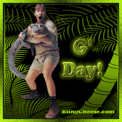 steve irwin video tk