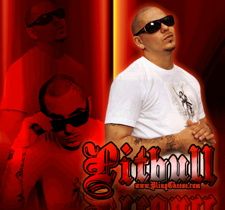 8_rap_music_pitbull.gif