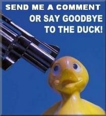 Comment Back     E Comments