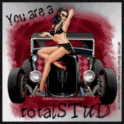 compliments total stud facebook tag