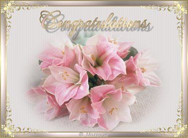 congrats_congratulation.jpg