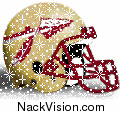 Florida State Seminoles Image