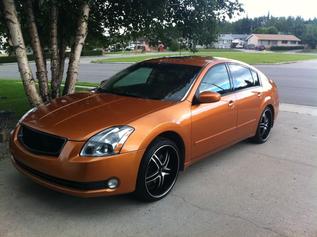 2004 Nissan maxima paint #7