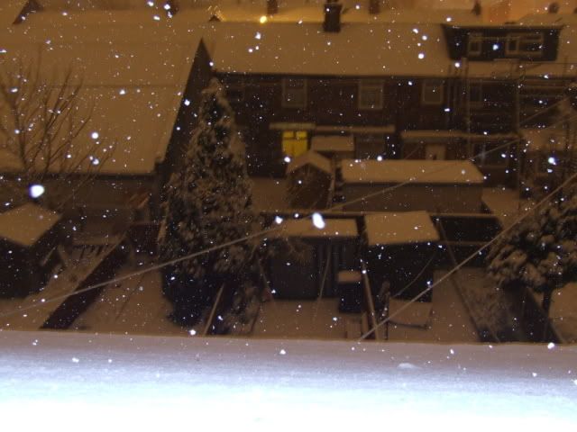 DSCF0171.jpg