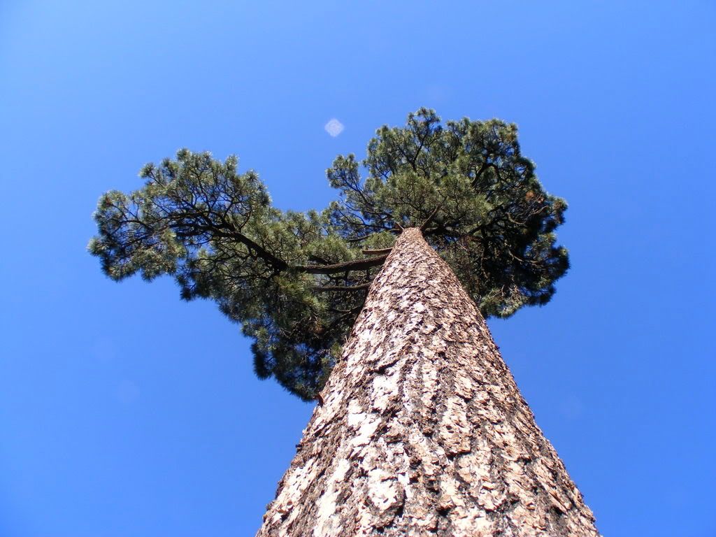 DSCF0196.jpg