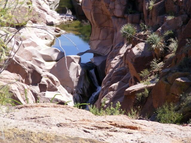 DSCF0317-1.jpg