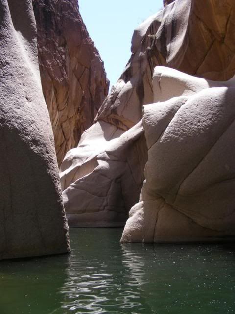DSCF0342.jpg