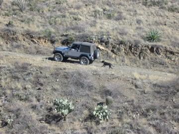IMG_0376.jpg