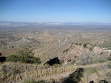 IMG_0773.jpg