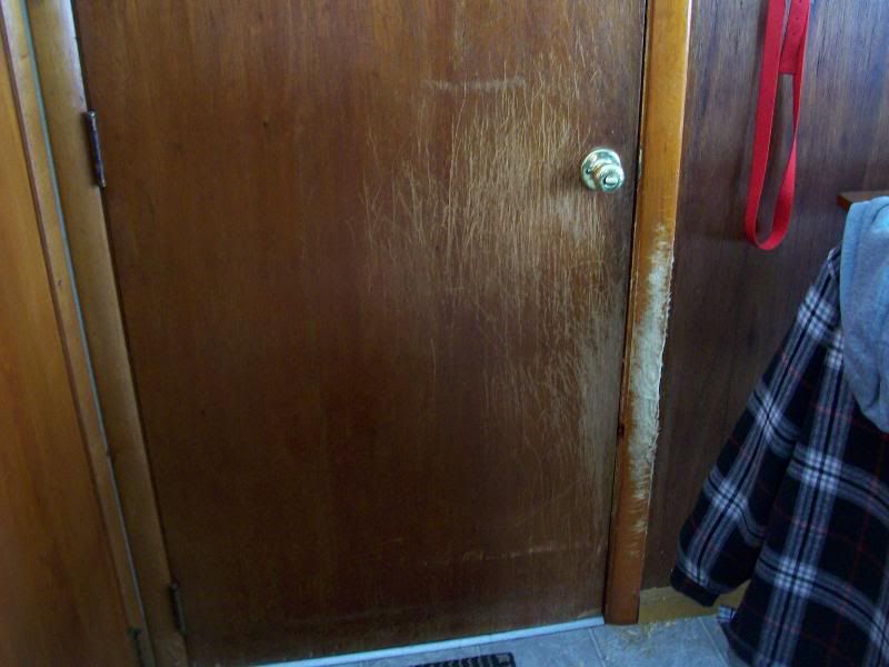 likes to chew door frames Boxer Breed Dog Forums