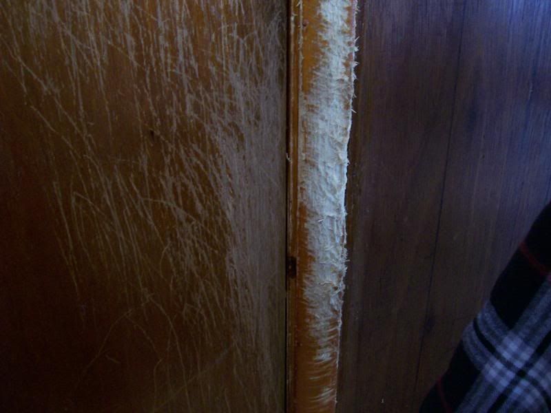 likes to chew door frames Boxer Breed Dog Forums