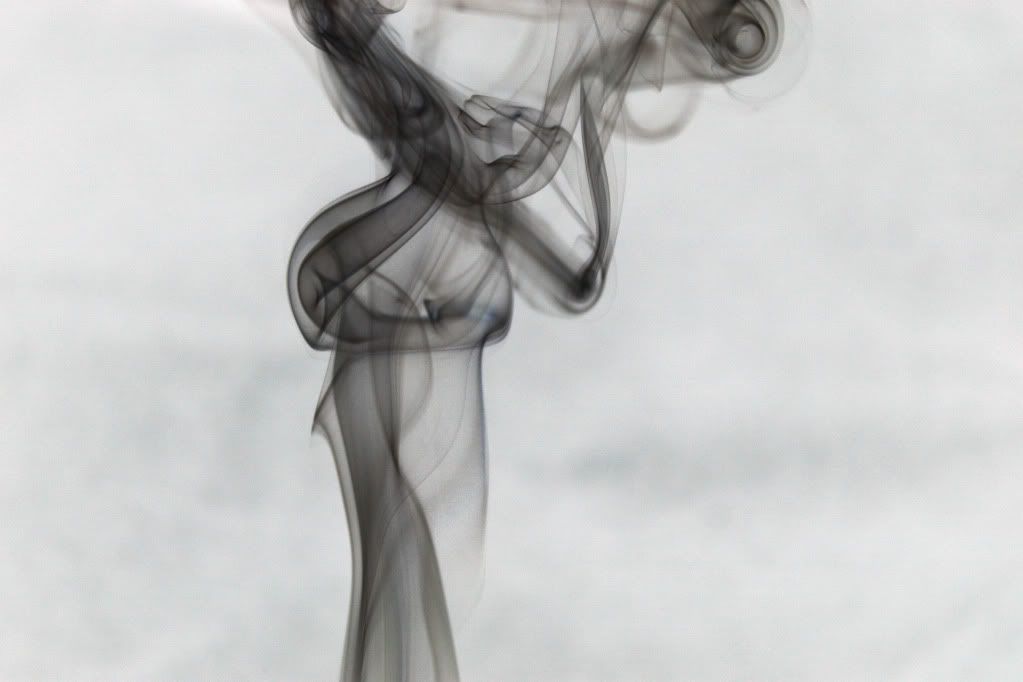 IMAGE: http://i153.photobucket.com/albums/s240/bon_air22/IMG_4790invert.jpg