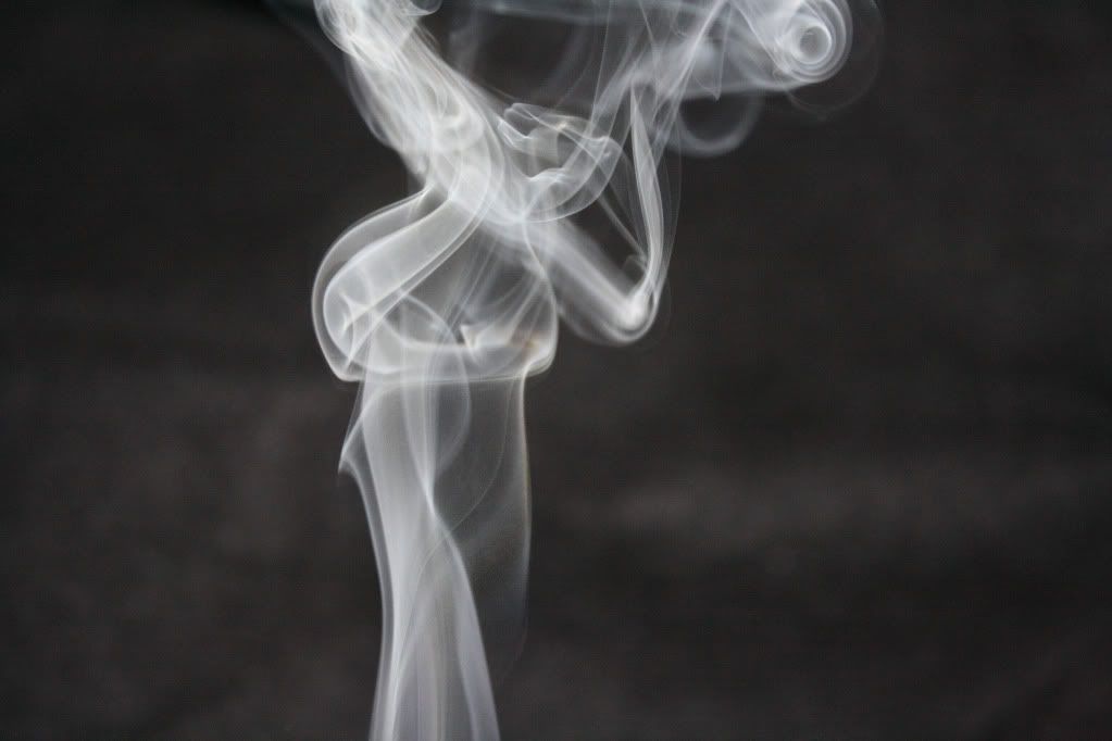 IMAGE: http://i153.photobucket.com/albums/s240/bon_air22/IMG_4790normal.jpg