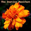 The Destiny Manifest blog