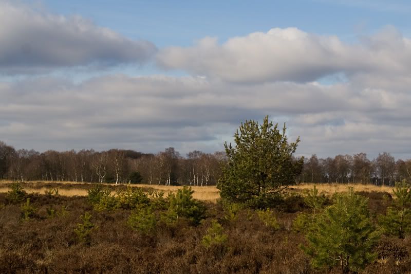 Fotografie
