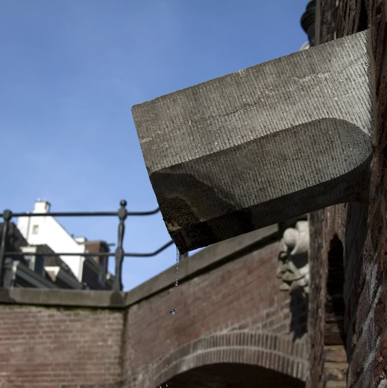 Fotografie