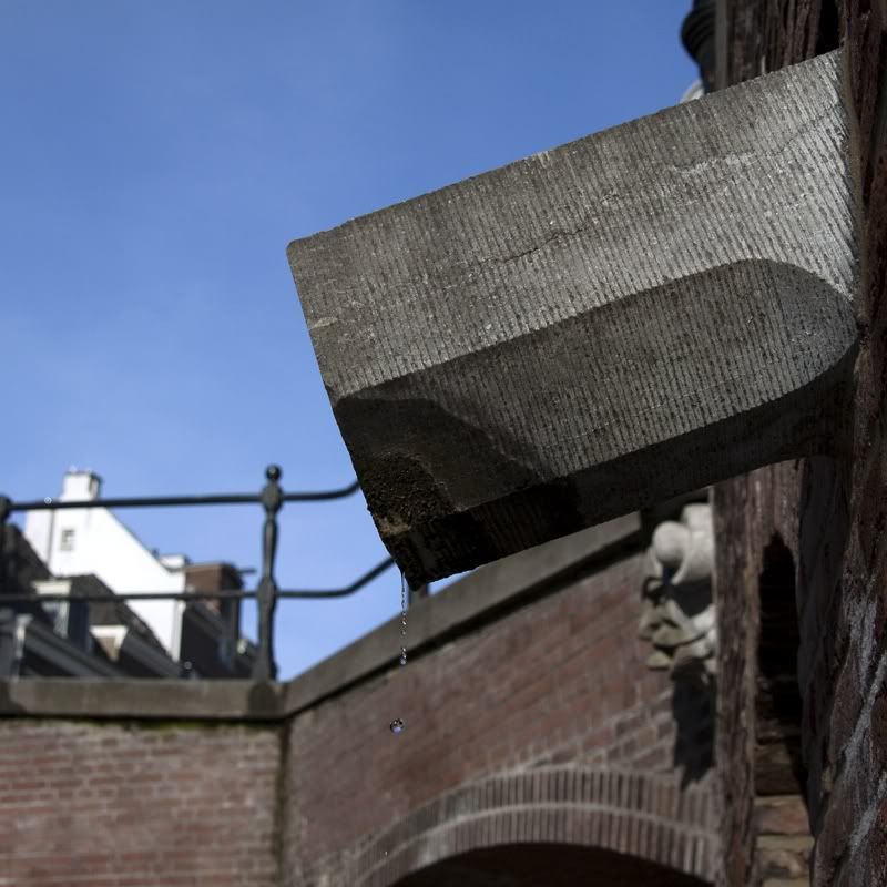 Fotografie