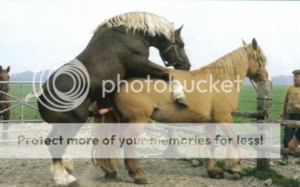 玉郎博客(玉郎的主页)