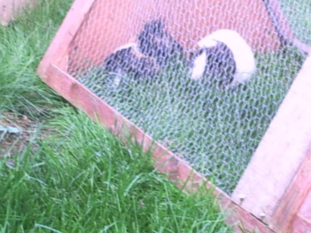 Newcamera-x-014.jpg