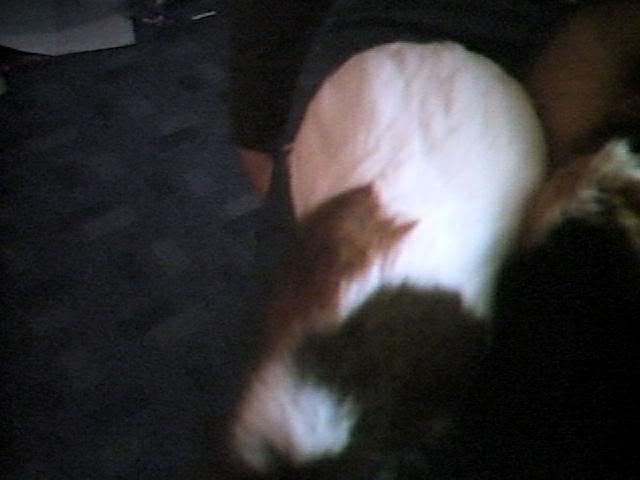 Picture018.jpg